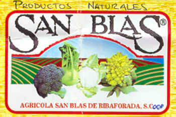 Imagen_1 Agrícola San Blas de Ribaforada, S. Coop.