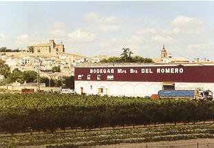 Imagen_2 Bodegas Ntra. Sra. del Romero, S.C.