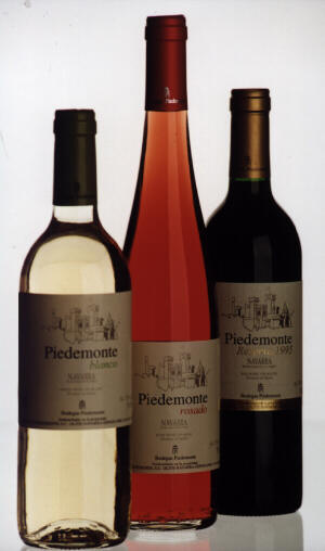 Imagen_2 Bodegas Piedemonte, S. Coop.