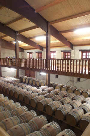 Imagen_2 Bodegas Viña Magaña, S.L.