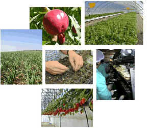 Imagen_1 Plantas de Navarra, S.A.